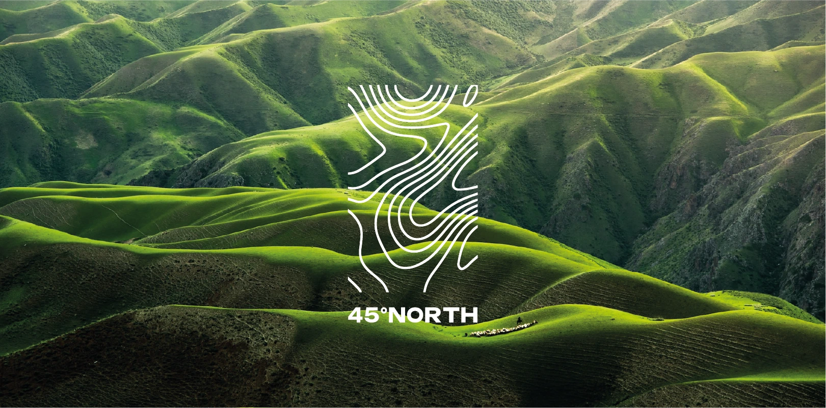 Image d'une montagne vert avec le logo de 45°NORTH